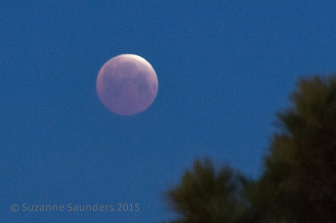 Blood Moon - Lunar Eclipse